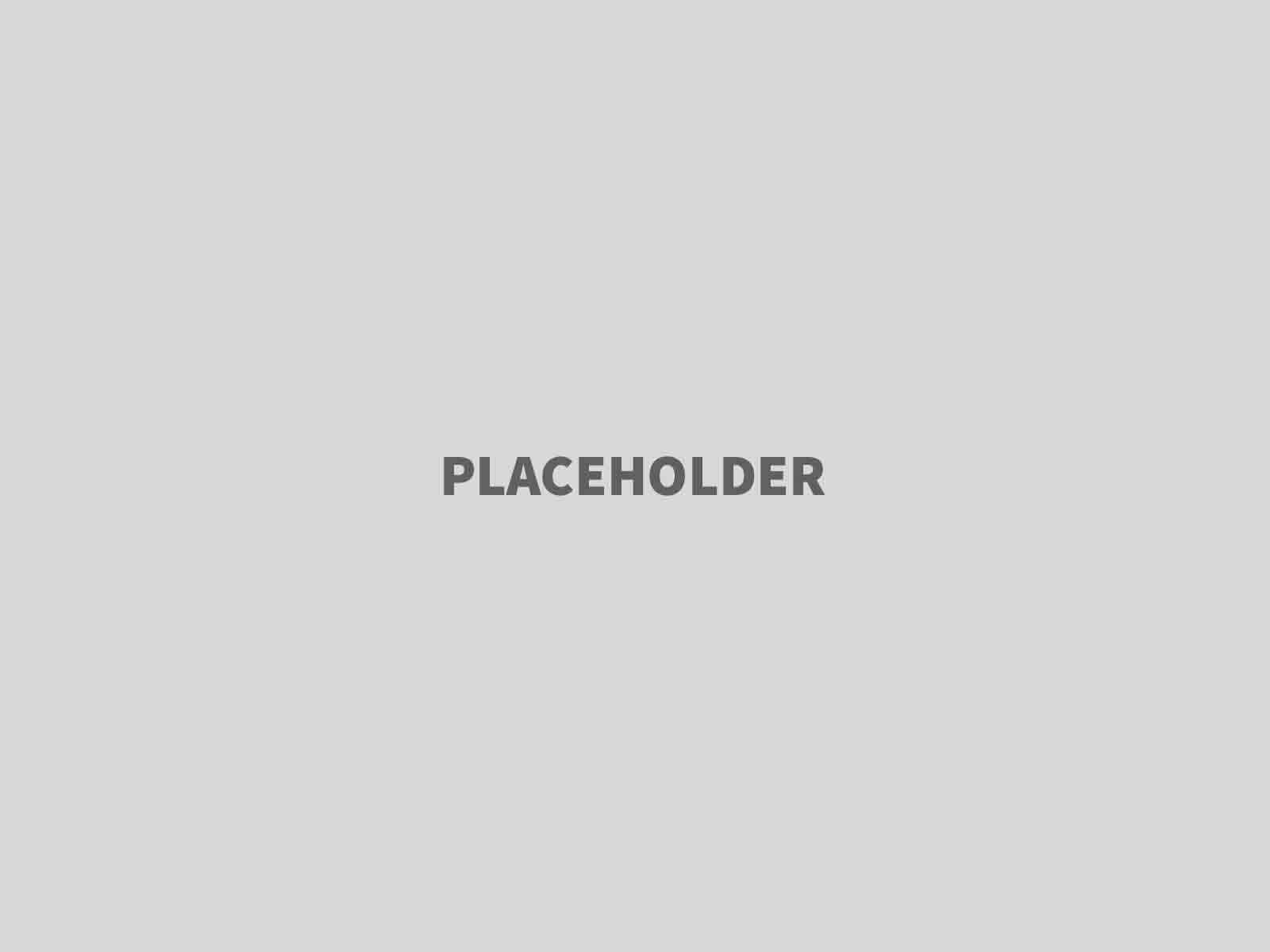 Phases and Deliverables